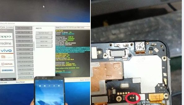 Pola Vivo Y71 PD1731F