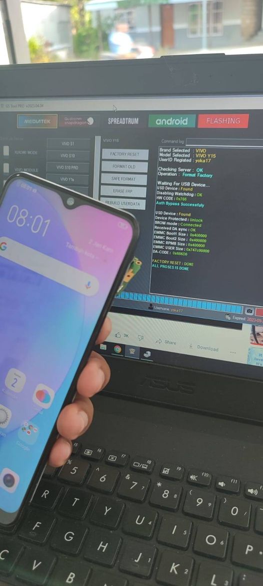 Pola Vivo Y15